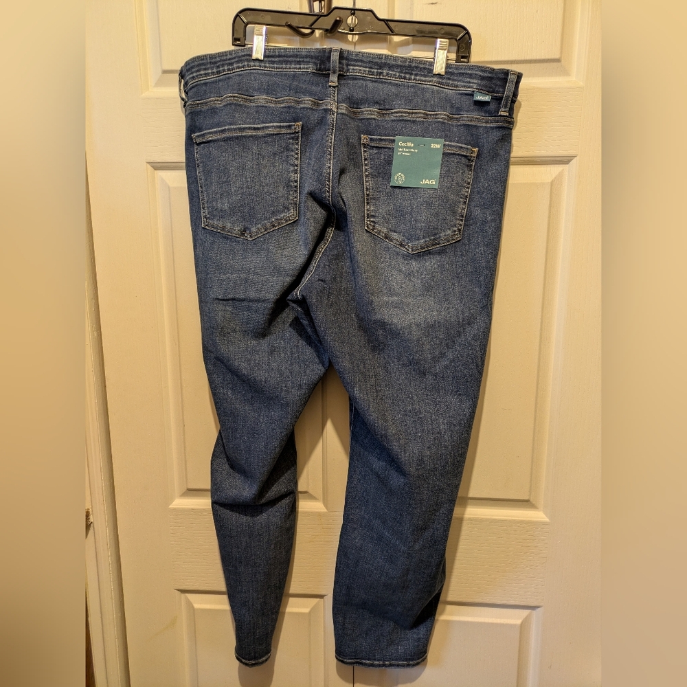 Jag Mid Rise Cecilia Skinny In Sky Blue Plus Size 22W New With Tags! - Picture 12 of 16